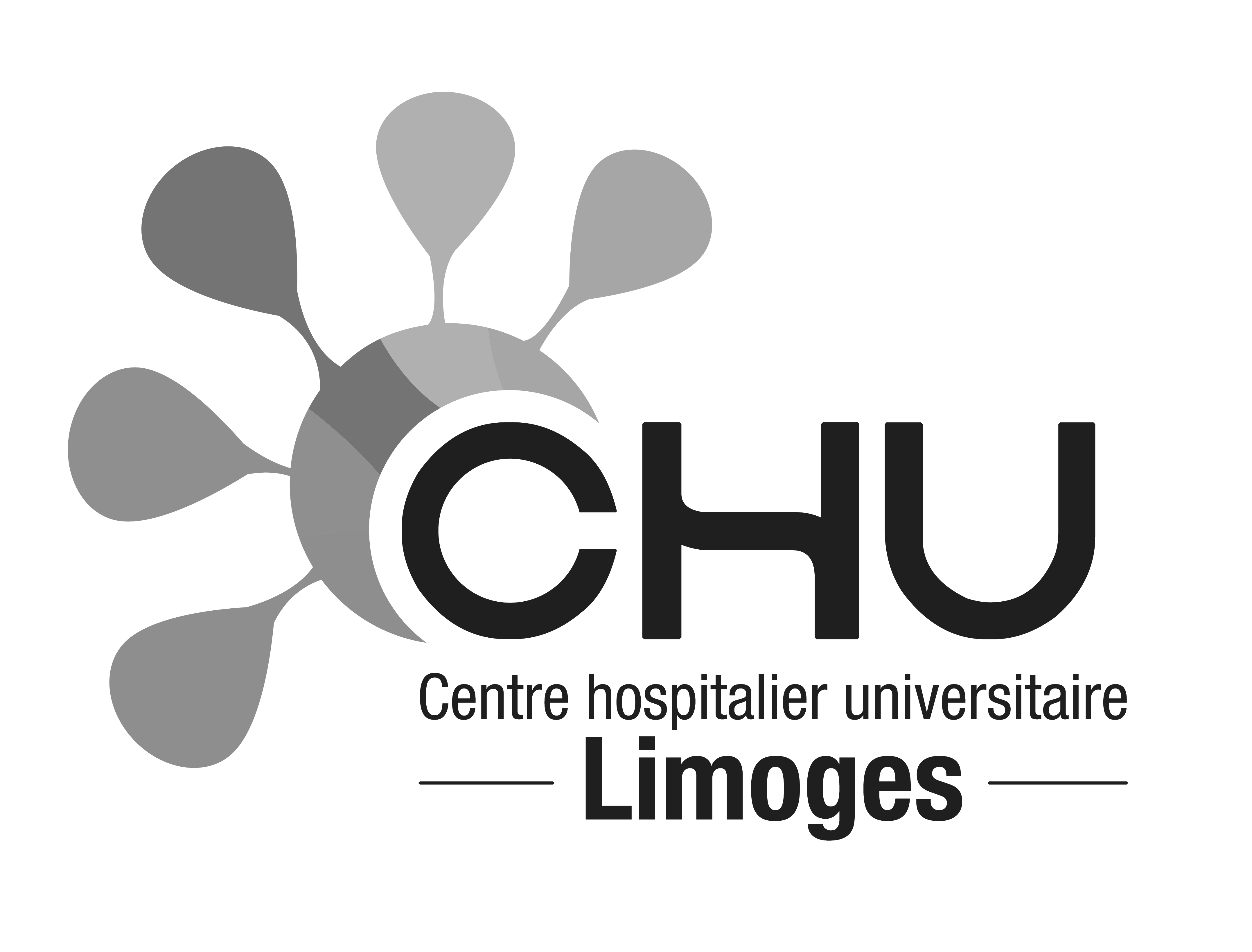 Logo_du_CHU_de_Limoges copie
